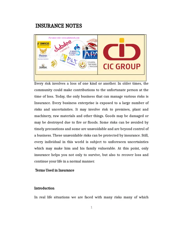 Cover of Senior 3 Entrepreneurship: Insurance Notes by Male T (S3 Entrepreneurship Notes)