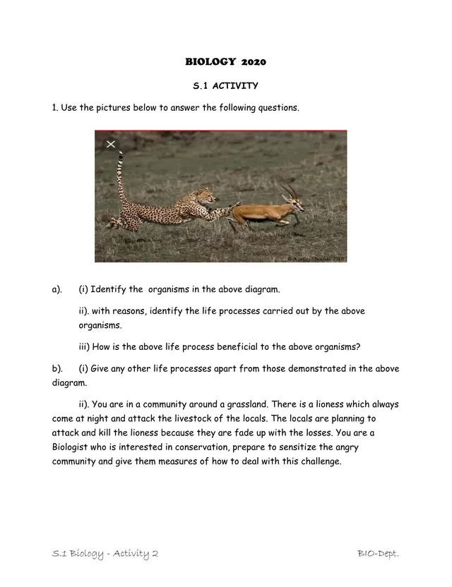 Cover of Senior 1 Biology Activity 2: Life Processes, Cells and Body Organisation (S1 Biology Activity)