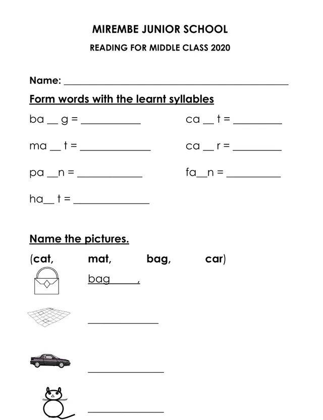 Cover of Mirembe Junior School Middle Class Reading, Numbers and English Papers 2020 (Middle Literacy Past Paper)