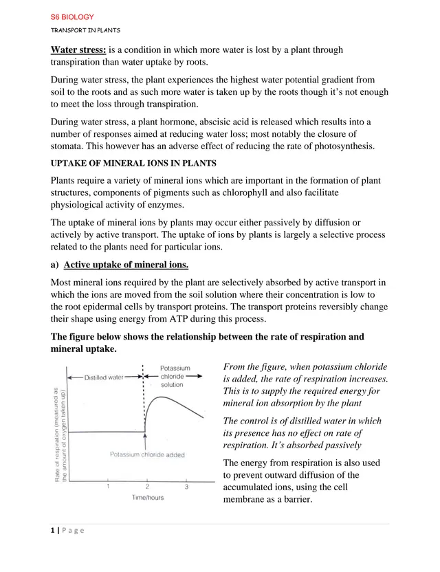 Cover of Transport in Plants Notes – A Level Biology (Biology Notes)