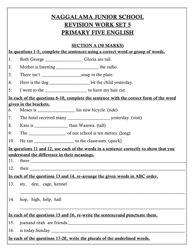 Cover of Primary Five English Revision Work Set 5 (P5 English Past Paper)