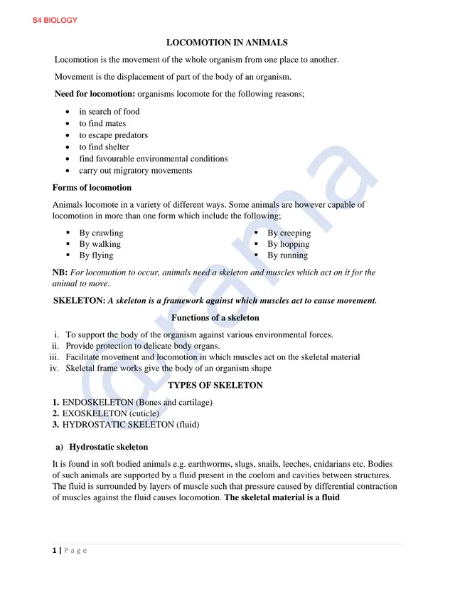 Cover of Locomotion in Animals – S4 Biology Notes (S4 Biology Notes)