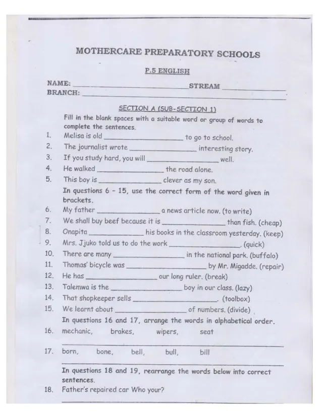 Cover of Primary 5 English Exam Revision (P5 English Past Paper)