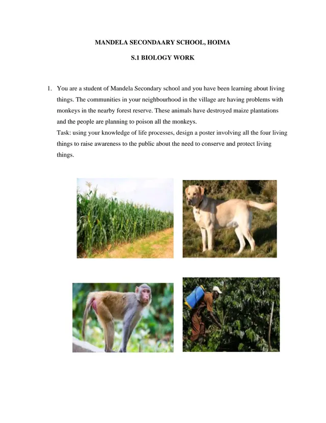 Cover of Senior 1 Biology Activities on Living Things and Plant Food Production (S1 Biology Worksheet)