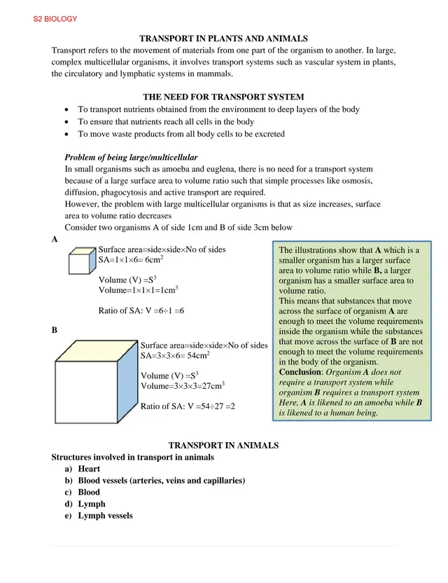 Cover of Transport in Plants and Animals – S2 Biology Notes (S2 Biology Notes)