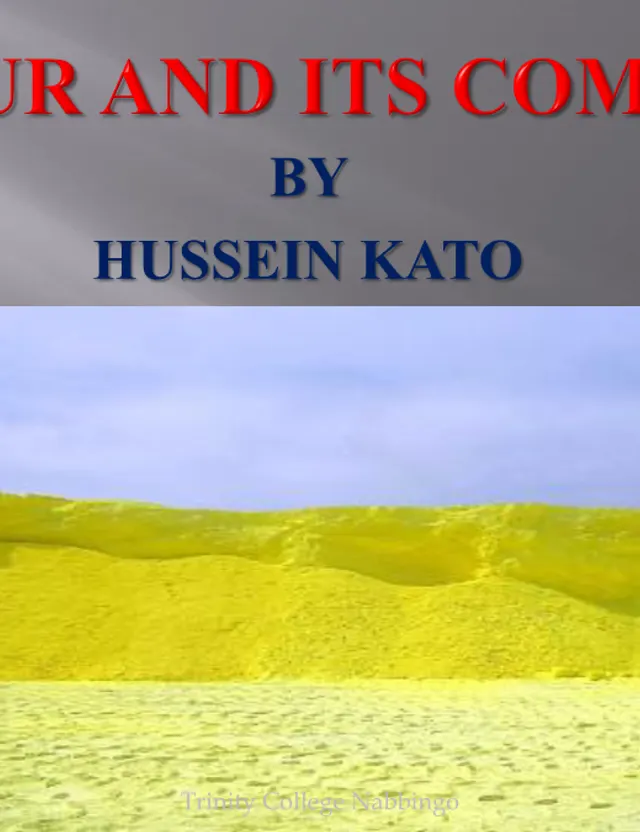 Cover of Sulphur: Chemistry Notes by Hussein Kato (S3 Chemistry Notes)