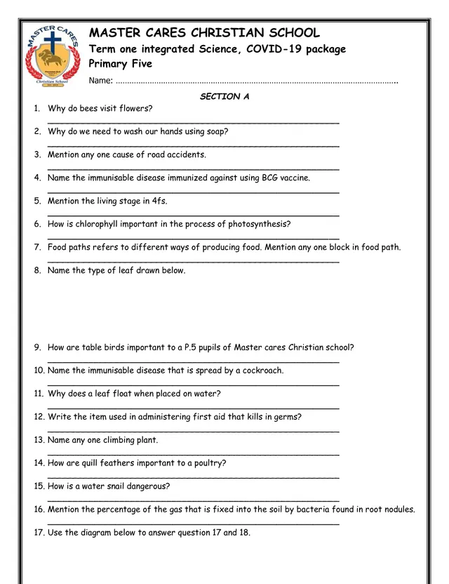 Cover of Primary Five Integrated Science Term One COVID-19 Package (P5 Science Past Paper)