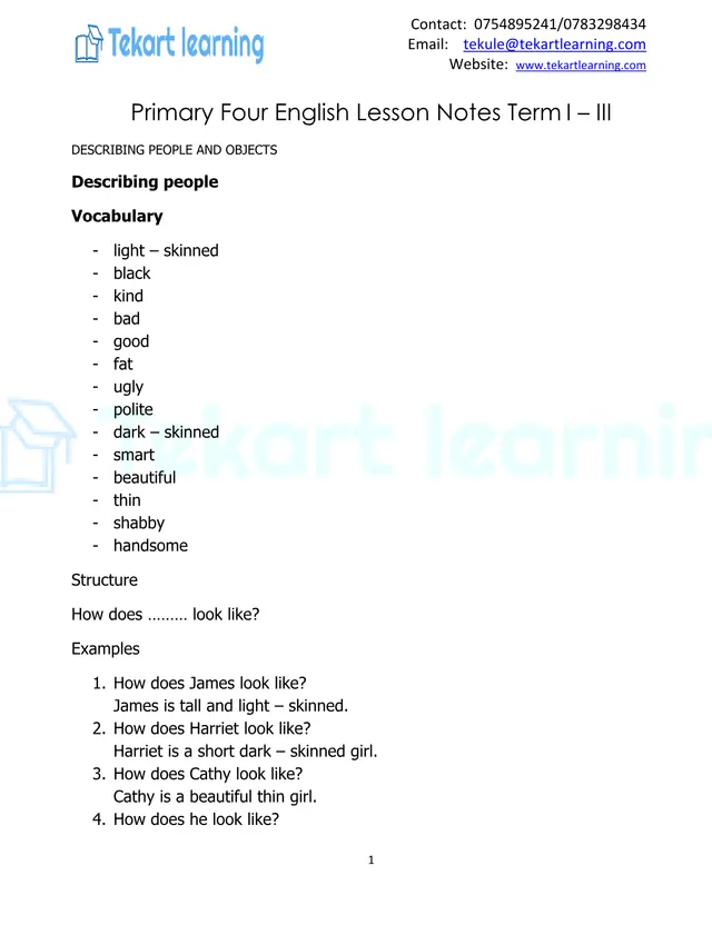 Cover of Primary 4 English Lesson Notes (Terms I–III) (P4 English Notes)
