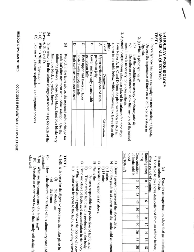 Cover of S.4 Biology Holiday Work: Three Practice Tests (2020) (S4 Biology Revision Test)