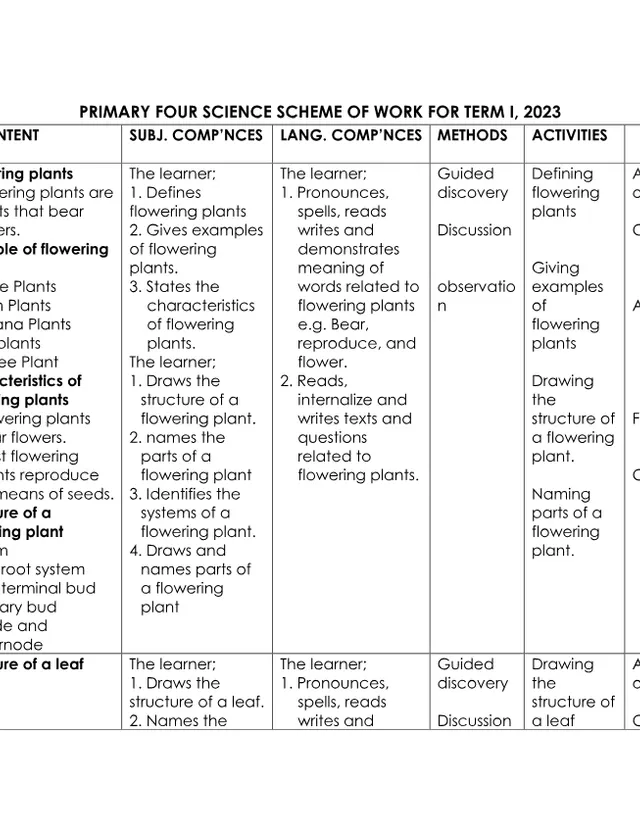 Cover of Primary Four Science Scheme of Work, 2023 (P4 Science Scheme of Work)