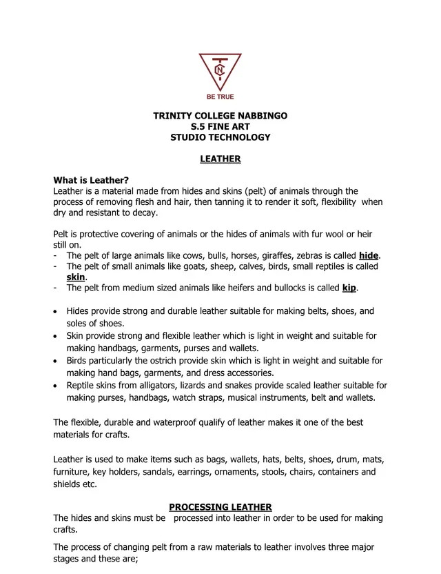 Cover of S5 Fine Art Studio Technology: Leather and Leather Processing (S5 Fine Art Notes)