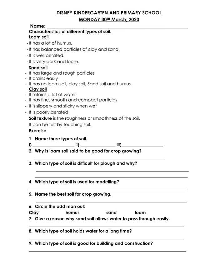 Cover of P4 Science Notes and Topical Exercises: Soil, Environment, Air and Light (P4 Science Notes)
