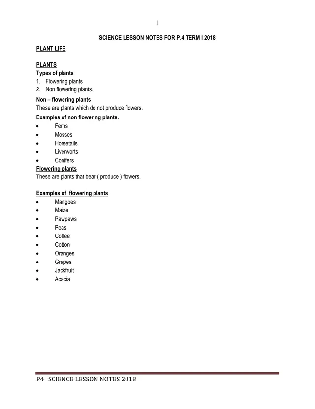 Cover of Primary 4 Science Lesson Notes, Term 1, 2018 (P4 Science Notes)