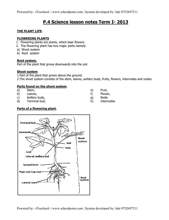 Cover of P4 Science Lesson Notes, Term 1 (2013) (P4 Science Notes)