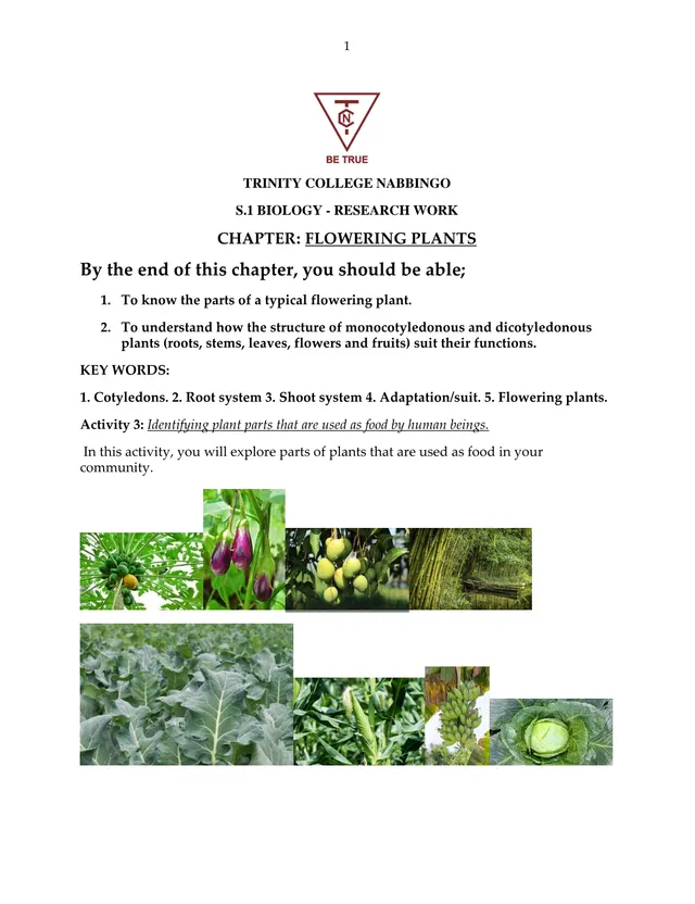 Cover of S1 Biology: Flowering Plants and Edible Plant Parts (S1 Biology Activity)