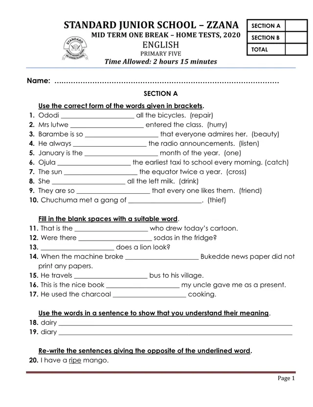Cover of Primary Five English Mid-Term One Break Home Test 2020 (Set II) (P5 English Past Paper)
