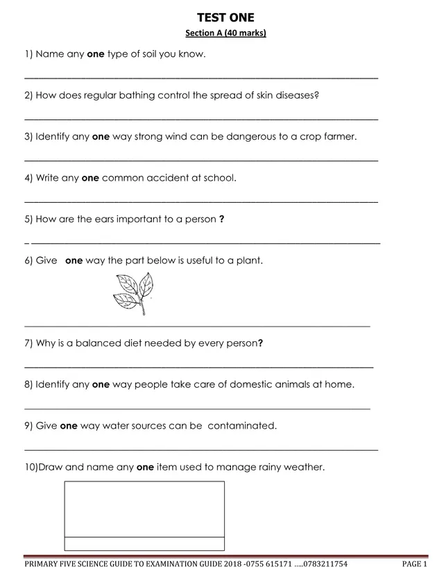 Cover of Primary Five Science Examination Practice Workbook (2018) (P5 Science Past Paper)