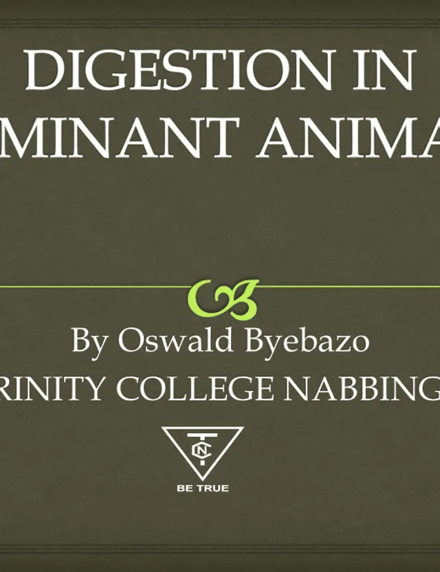 Cover of S3 Agriculture: Digestion in Ruminant Animals (S3 Agriculture Notes)